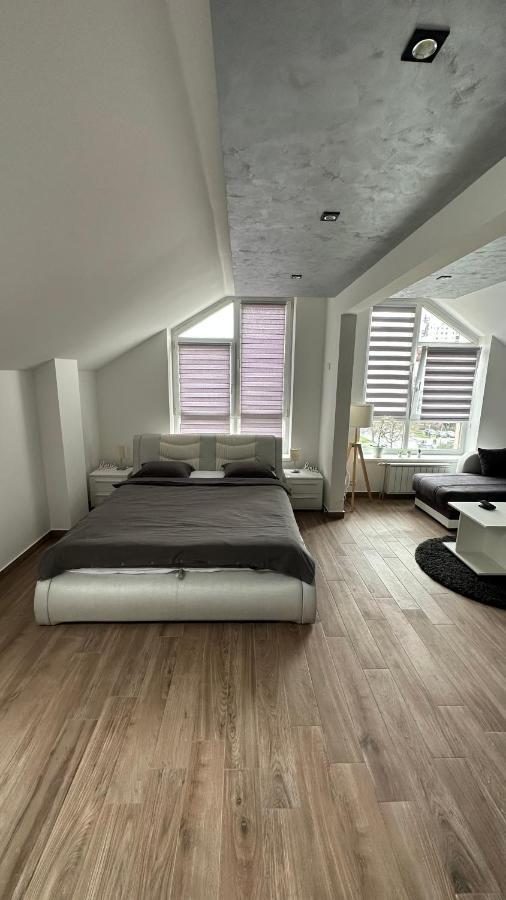 Seti Gorgeous Apartments With Jacuzzi 贝尔格莱德 外观 照片
