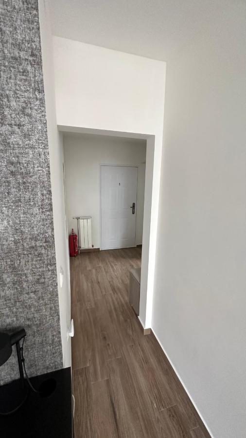 Seti Gorgeous Apartments With Jacuzzi 贝尔格莱德 外观 照片
