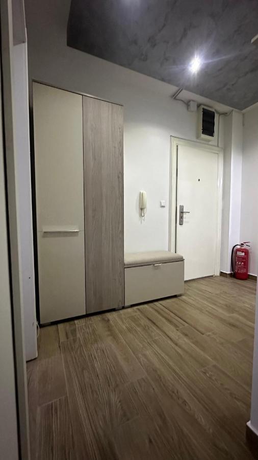 Seti Gorgeous Apartments With Jacuzzi 贝尔格莱德 外观 照片